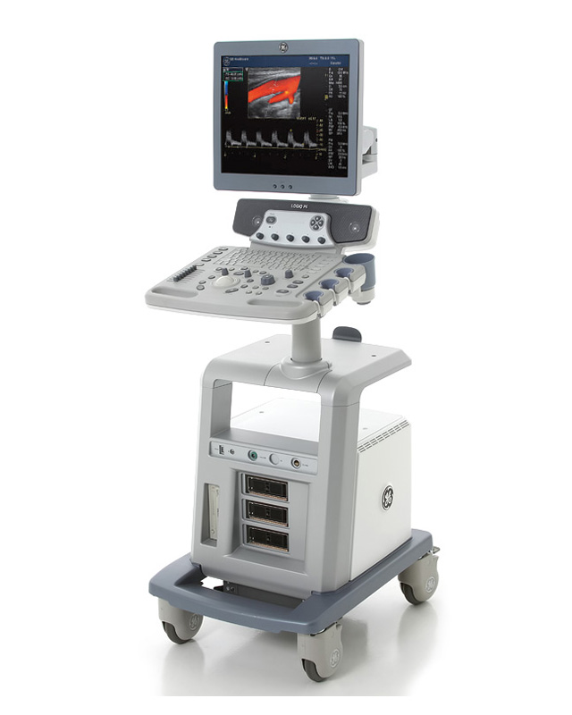 GE Logiq P6 Ultrasound Machine